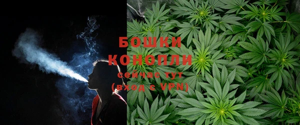 соль ск Нея