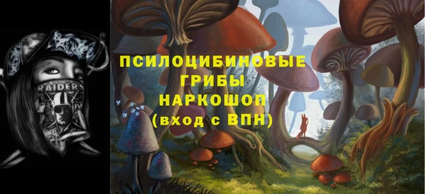 соль ск Нея