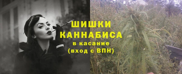 соль ск Нея