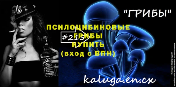 альфа пвп Новодвинск