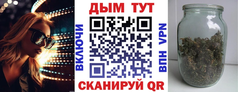 закладки  Струнино  Бошки Шишки план 